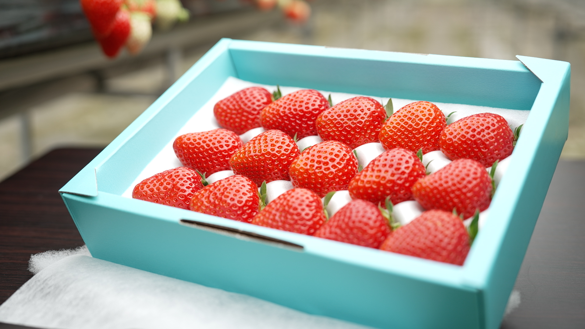 とっておき　La Fraise